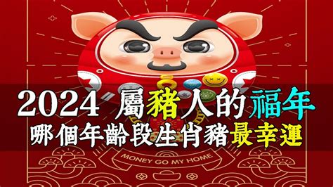 屬豬幾年次|屬豬今年幾歲 豬年是民國西元哪幾年